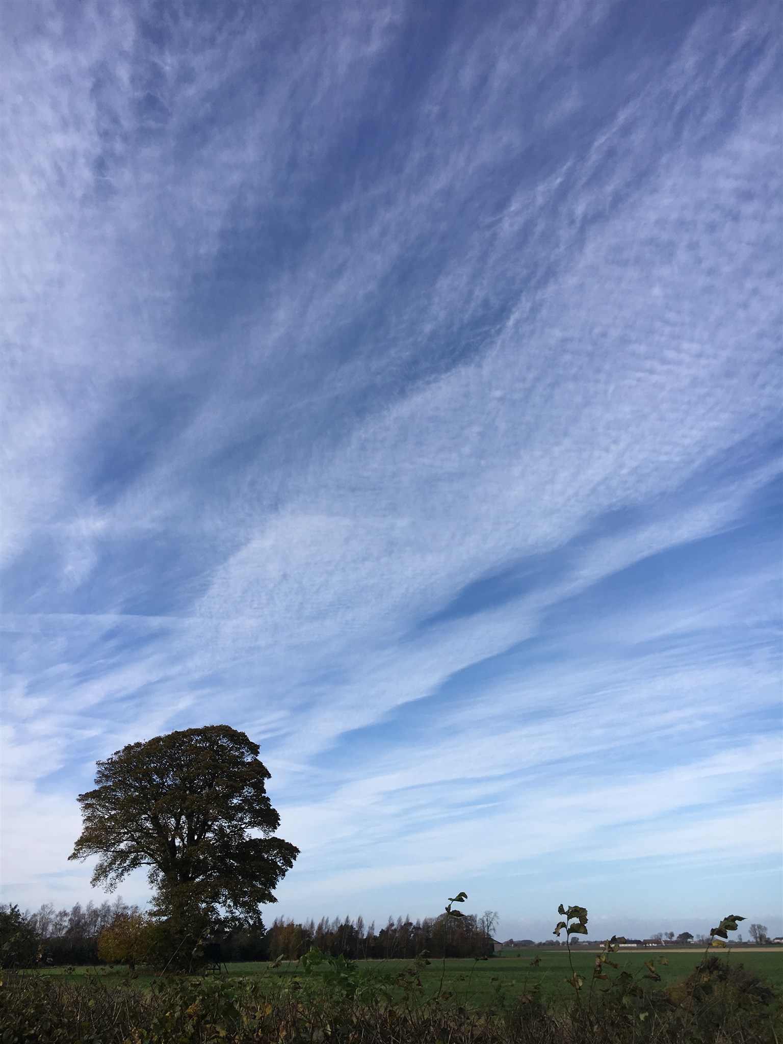 blårandig himmel.JPG