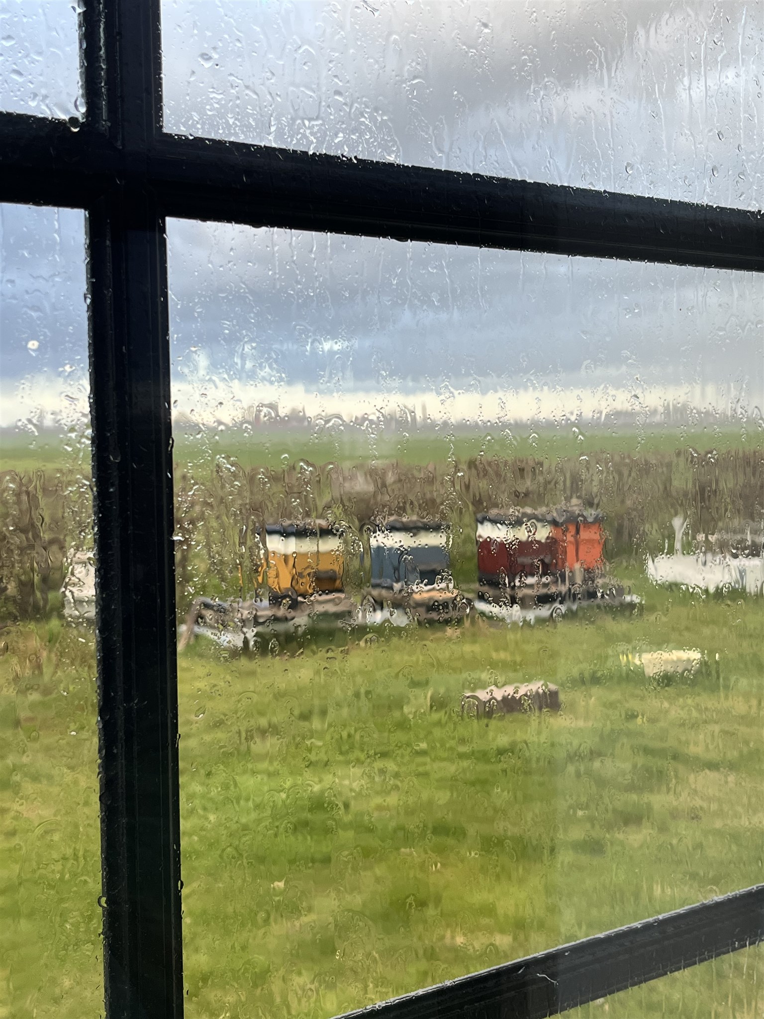 en gnutta regn.jpeg