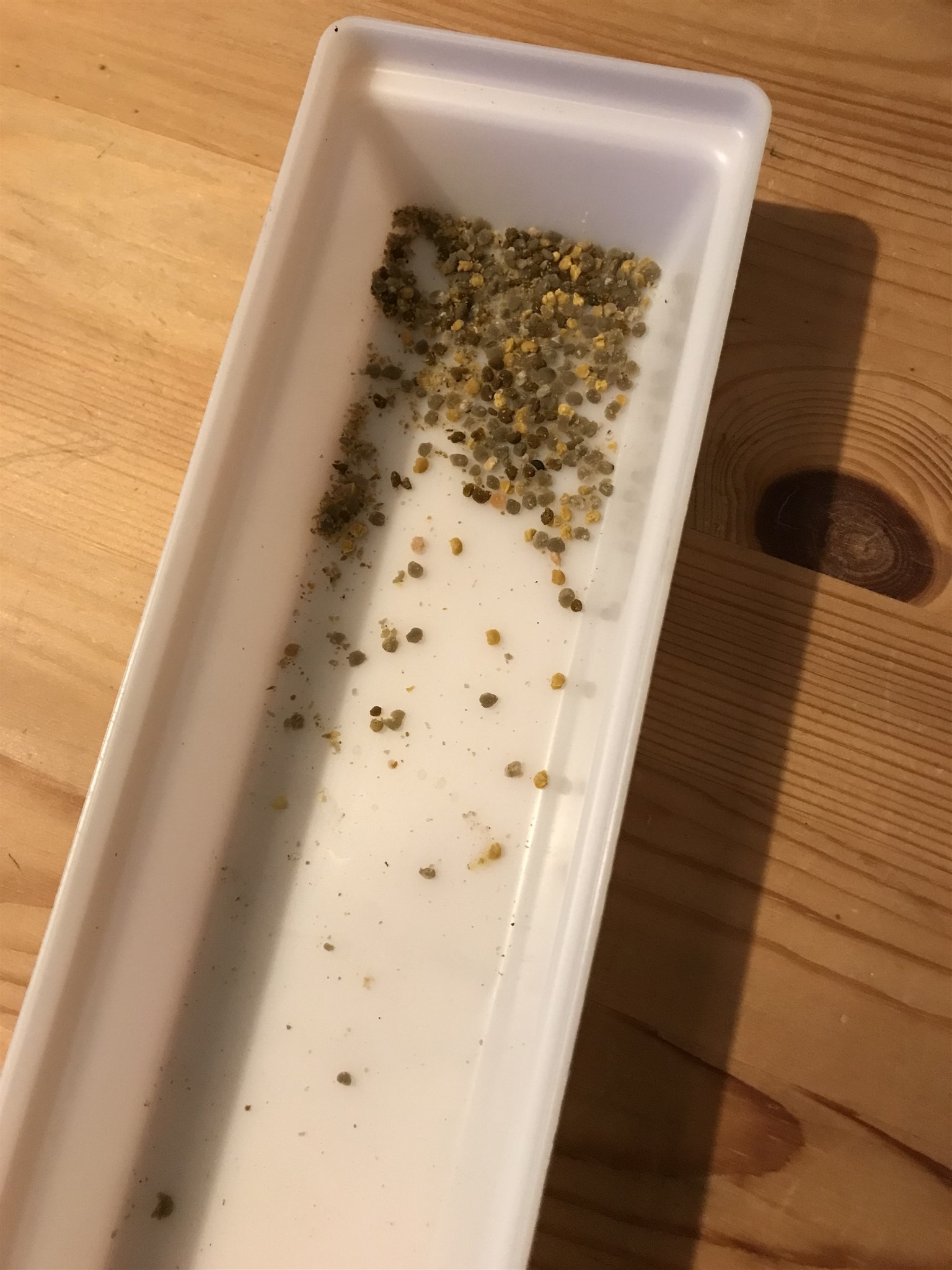 första pollen 22.jpg