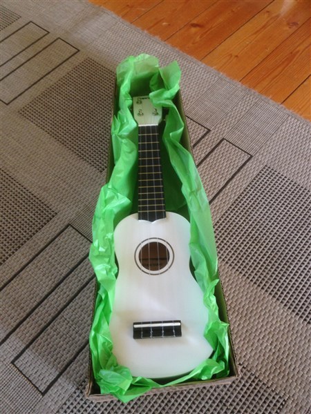 gitarrlåda inne.JPG