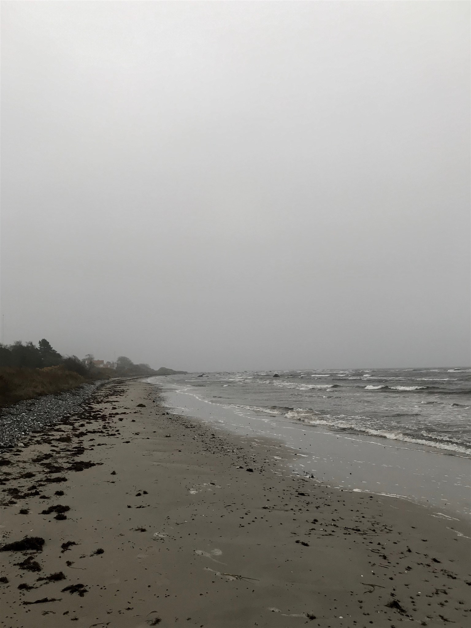 grå strand.JPG