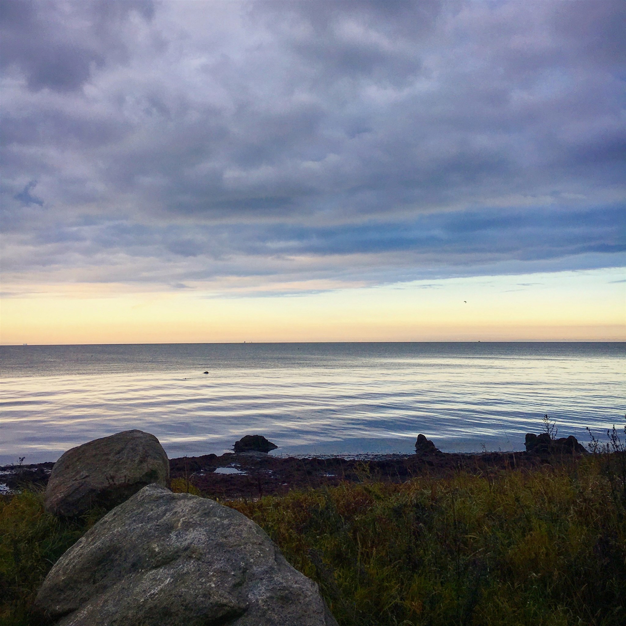 höst vid havet.JPG