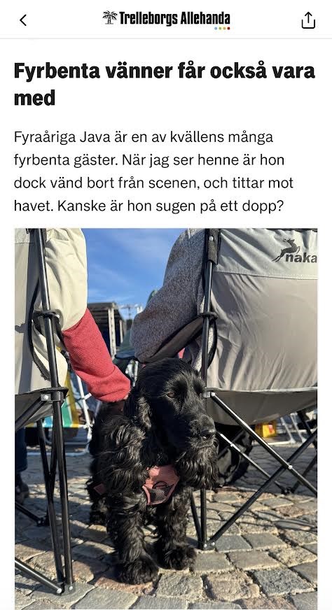 java på allsång.jpg