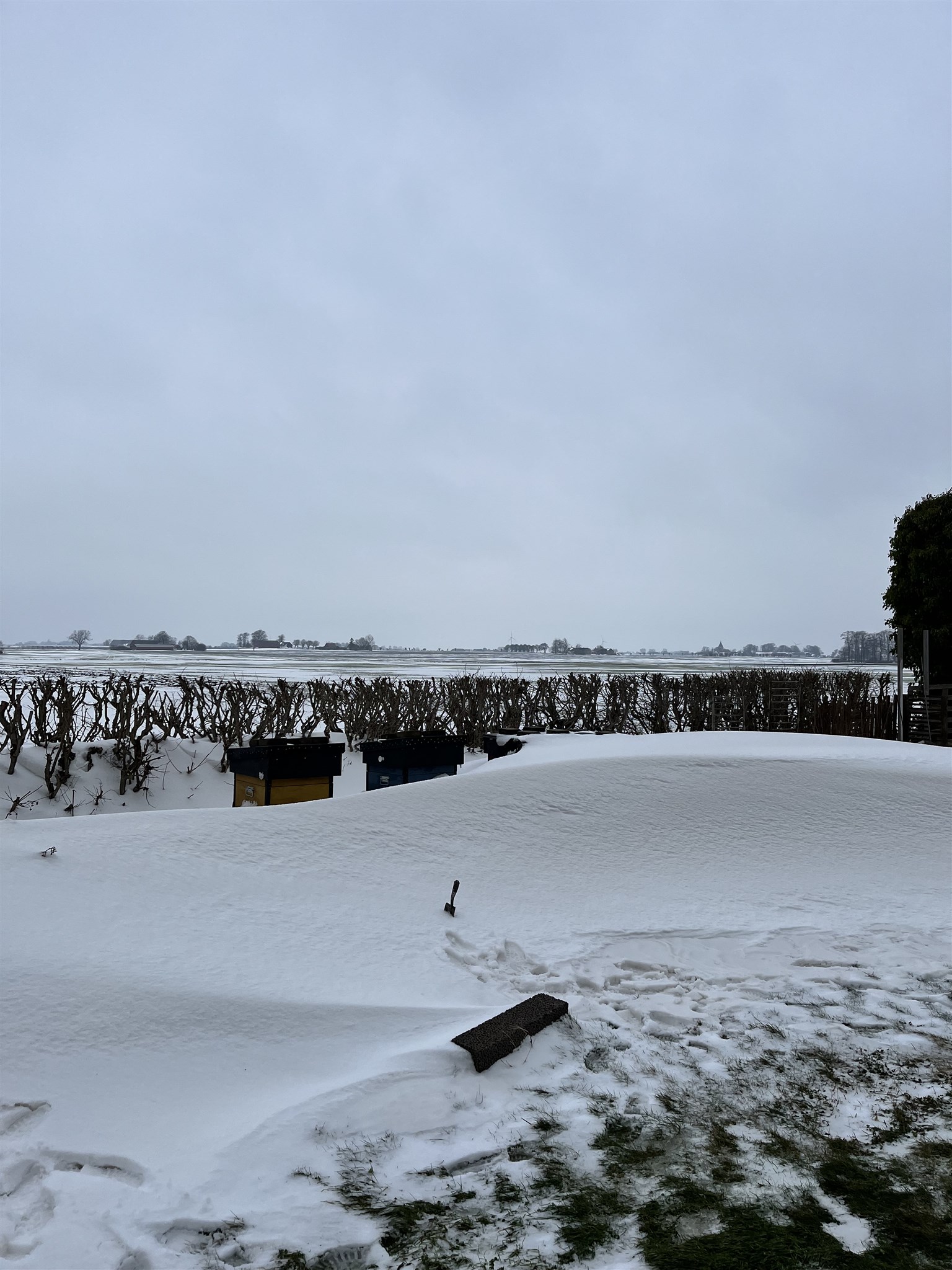 kupor i snö 26.jpeg