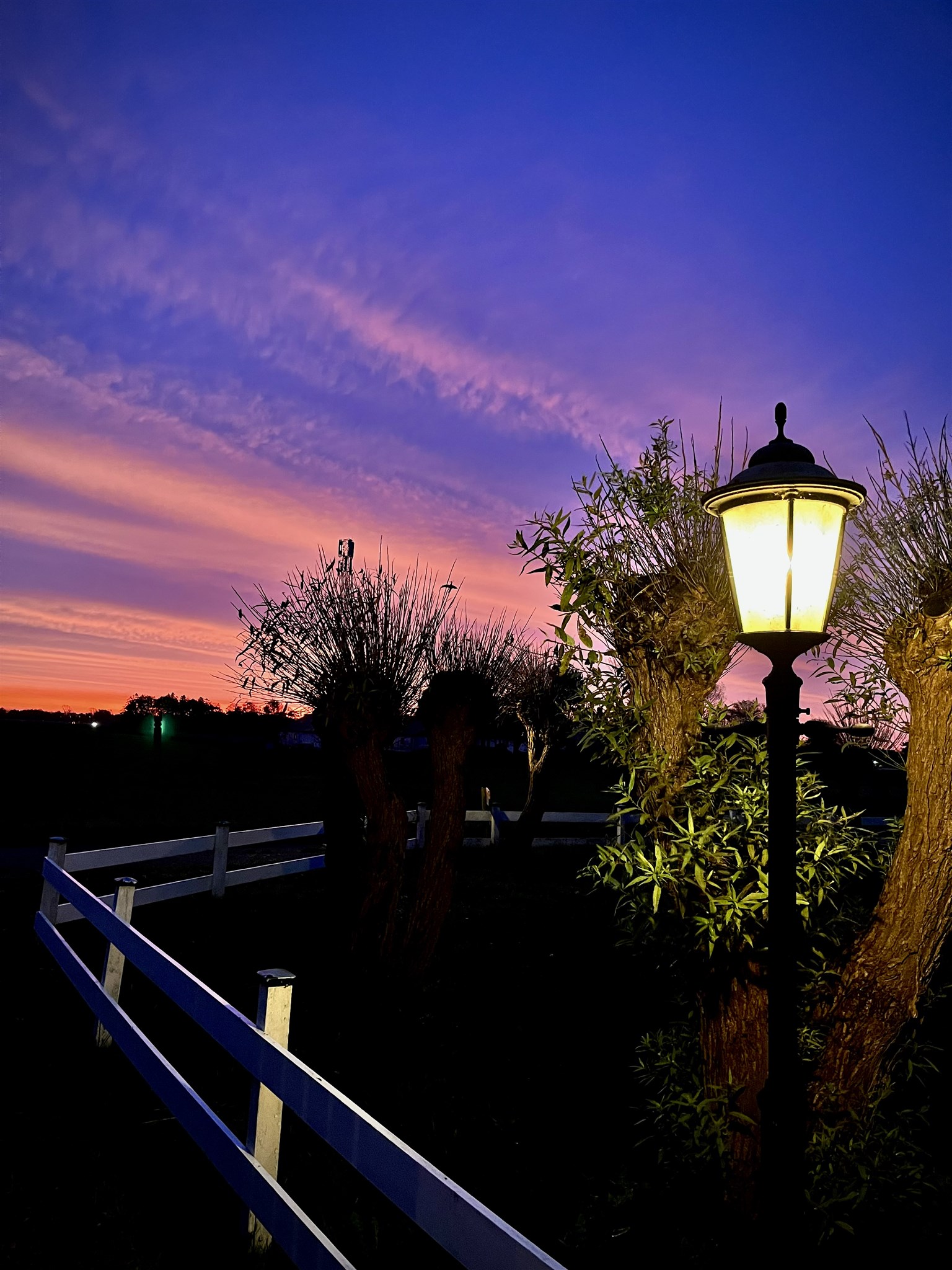 lila i november 25.jpeg