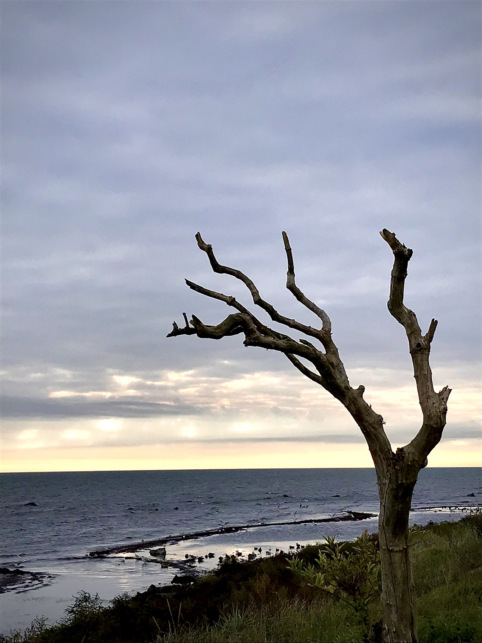 lugnt på stenöret.jpg