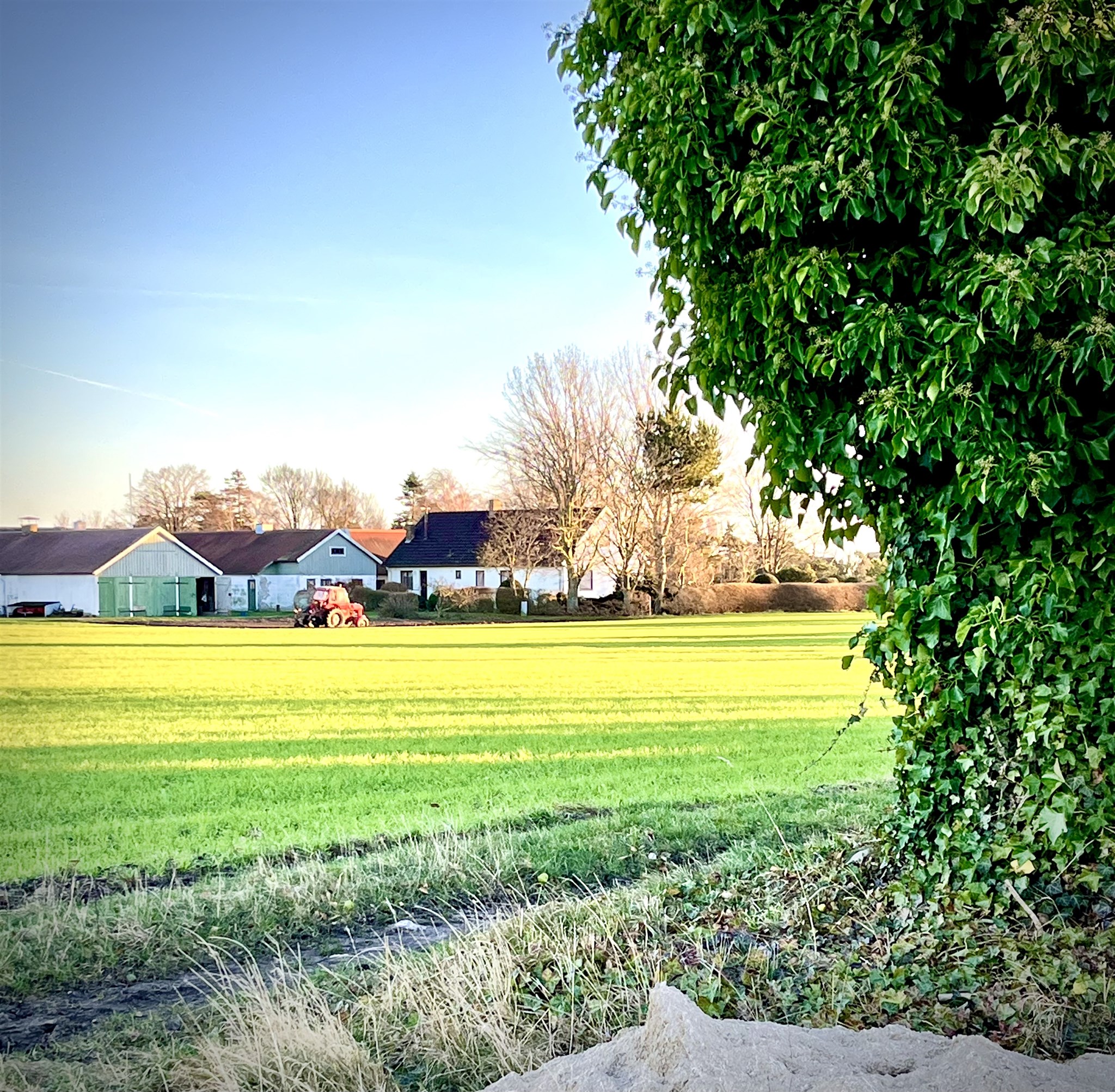 plöjning dec 25.jpeg