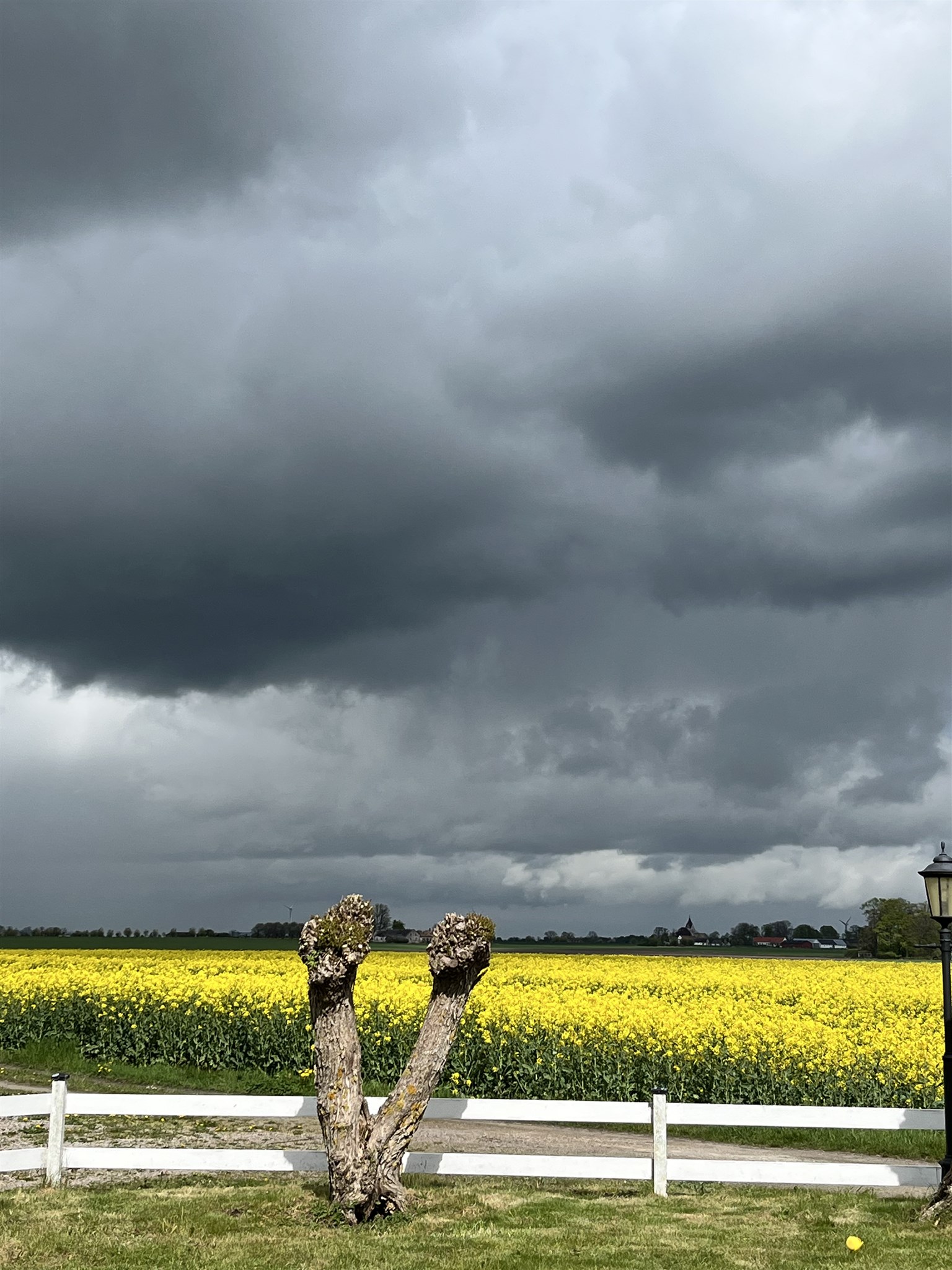 regnbåge maj 25 1.jpg