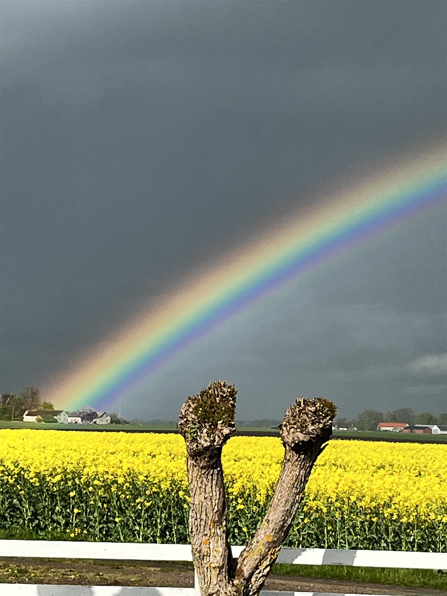 regnbåge maj 25 3.jpg