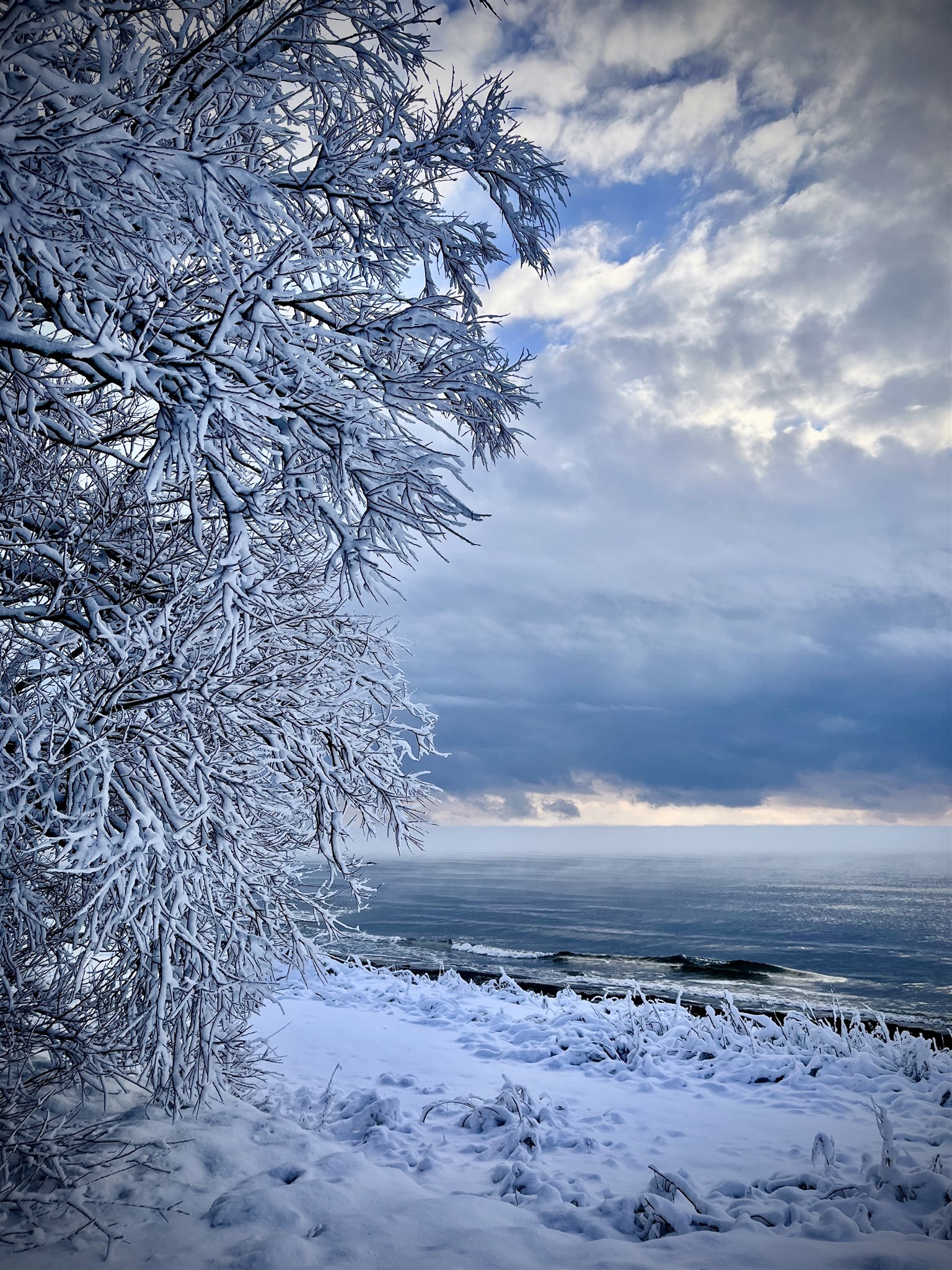 strand vinter 26.jpeg