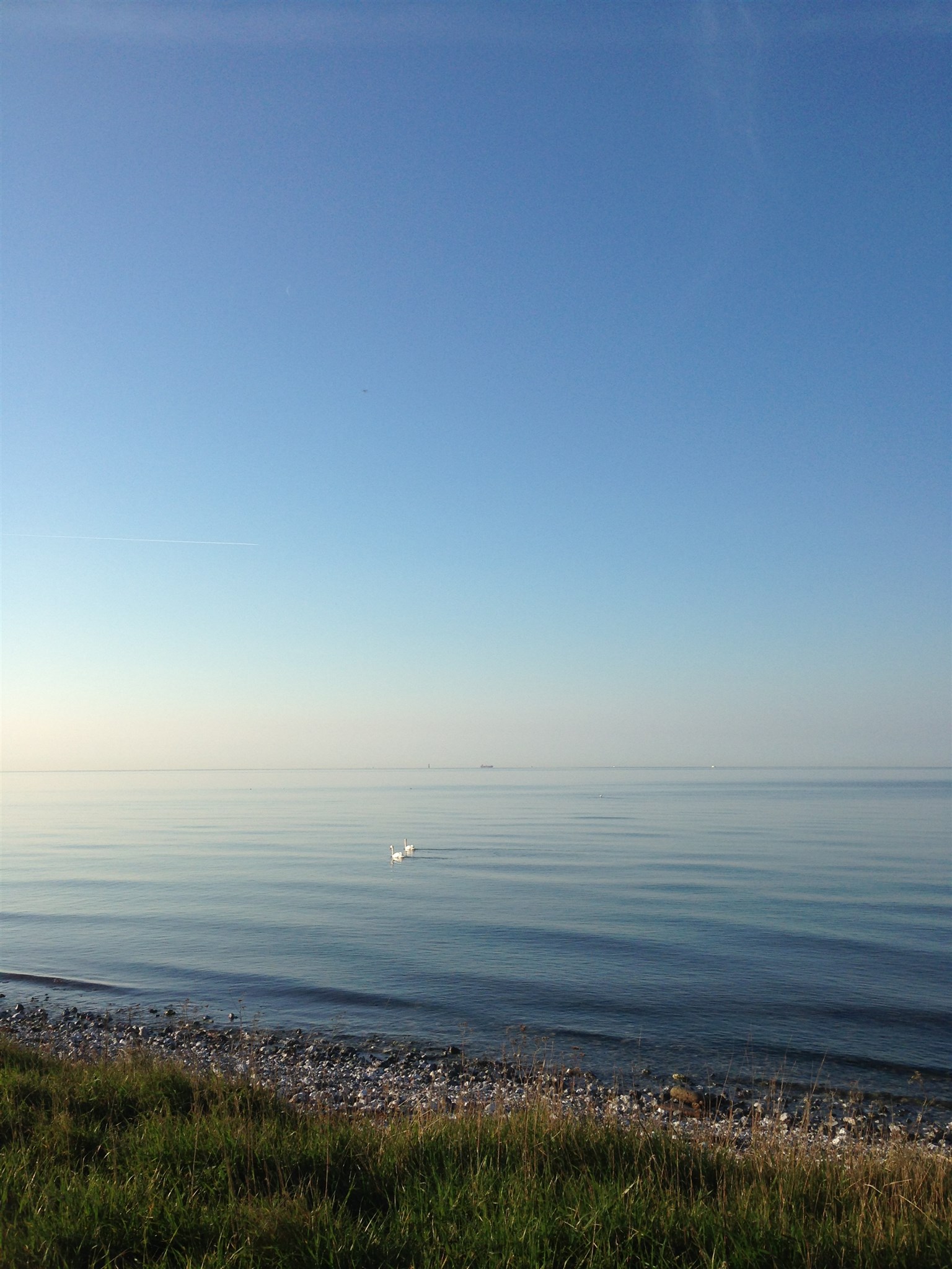 svansjön.JPG