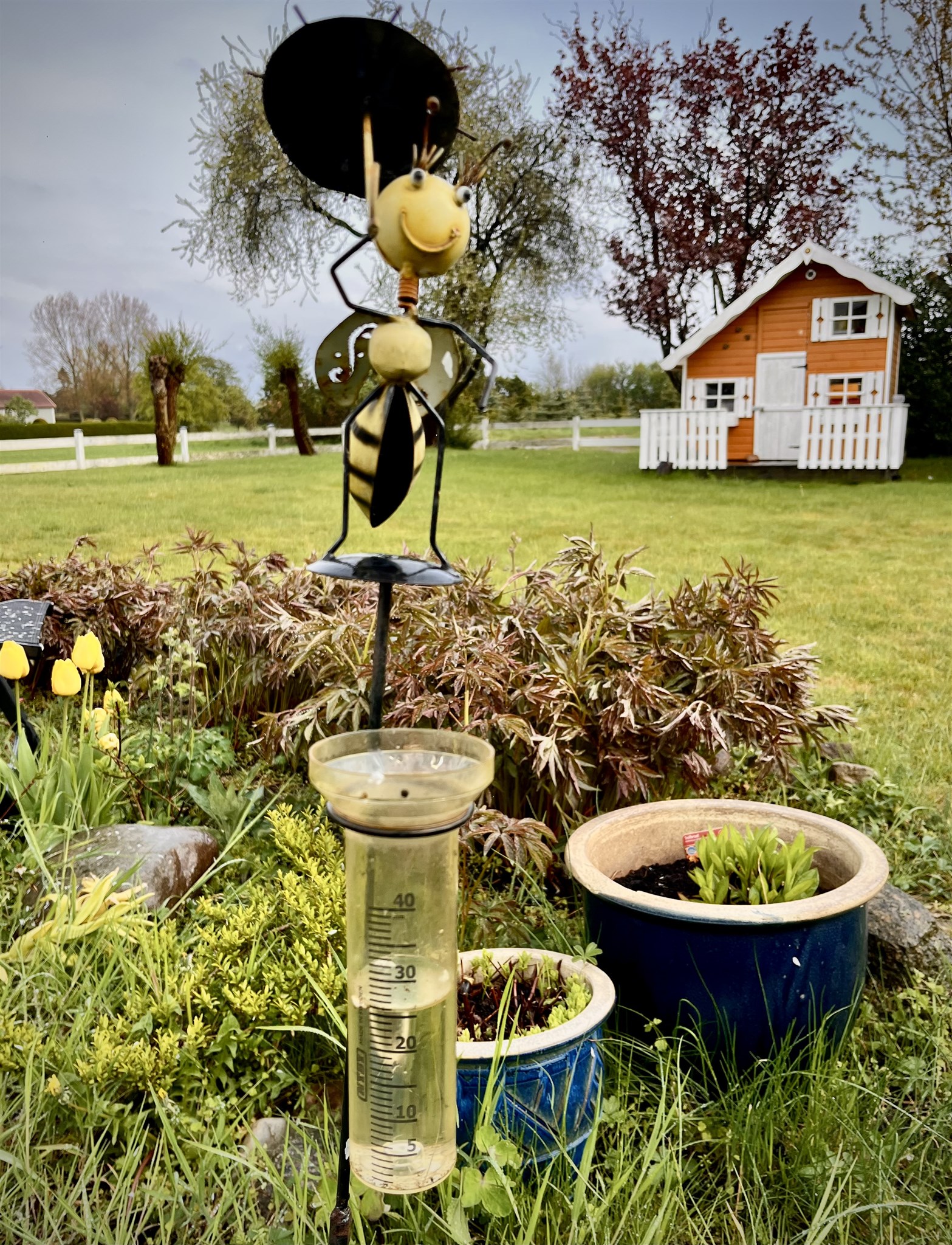 tacksamt regn.jpeg